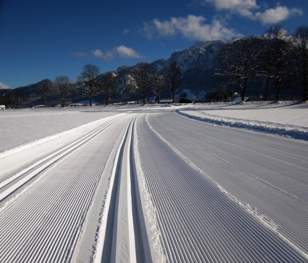 Gaestehaus Wild-Schuetz Schwangau Luaran gambar