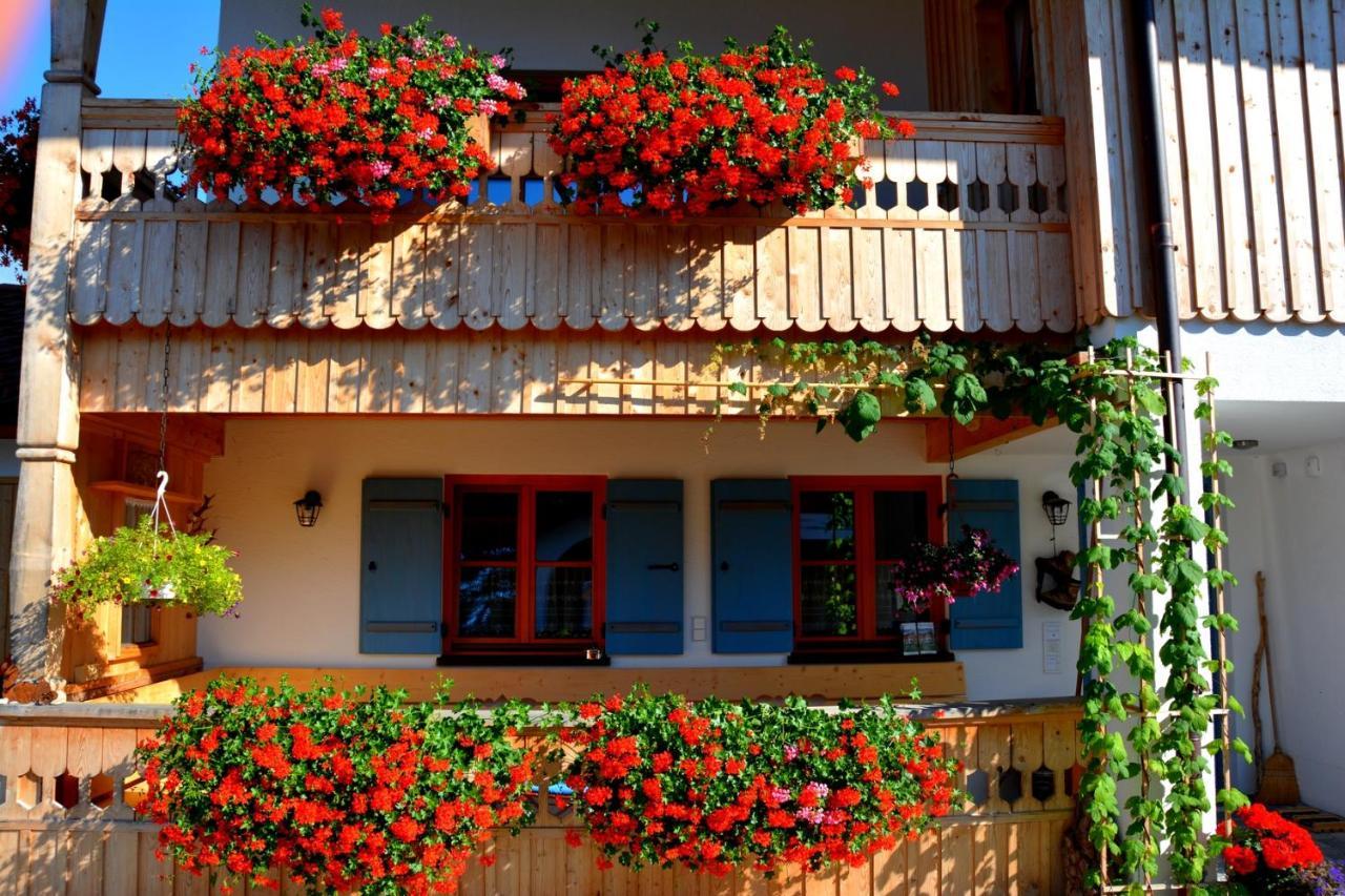 Gaestehaus Wild-Schuetz Schwangau Luaran gambar